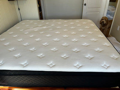 Carlyle, SK | QUEEN | Hamuq Original Hybrid Mattress